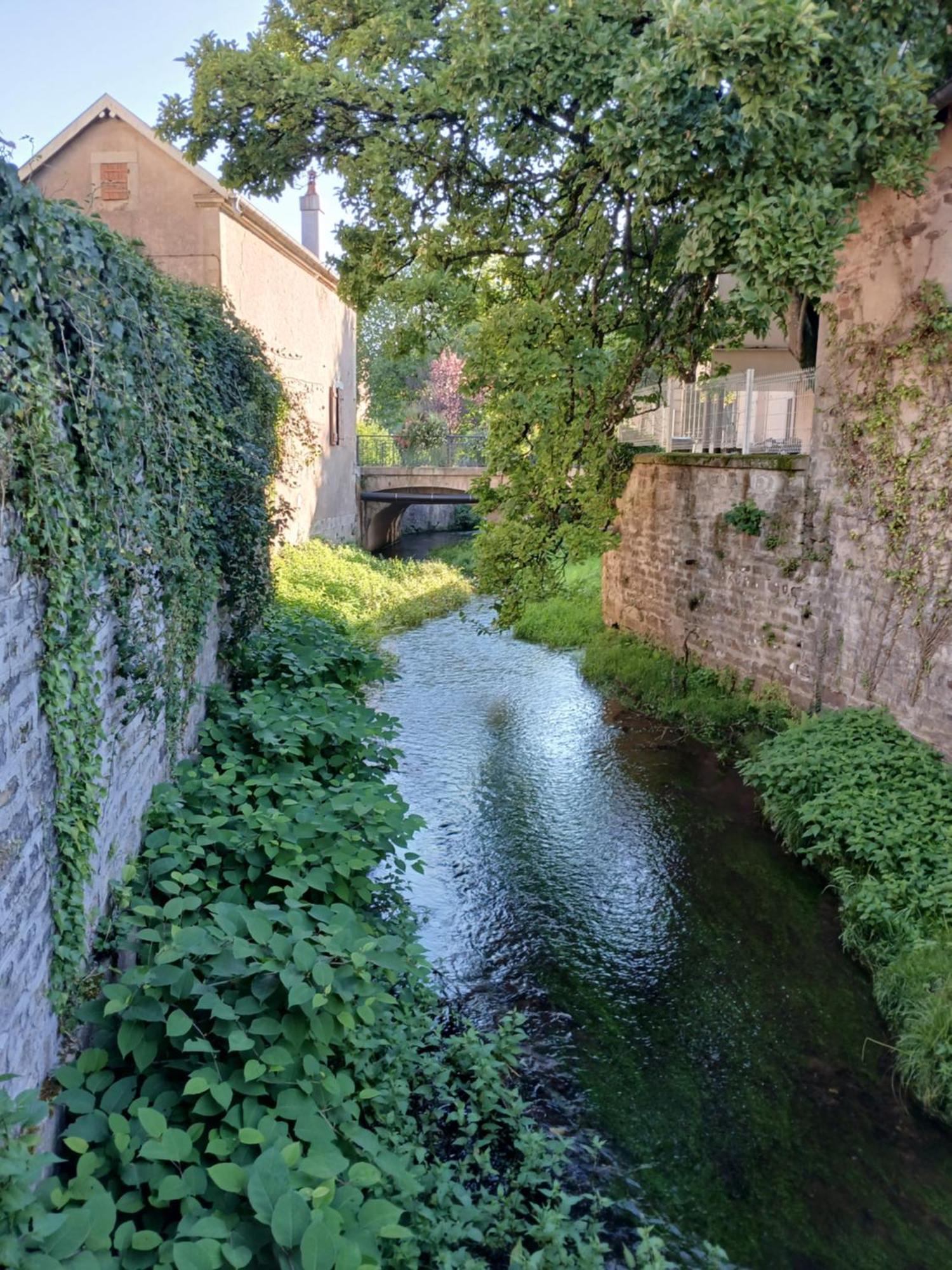 Manoir La Cerise Bed & Breakfast Fougerolles-Saint-Valbert Eksteriør bilde